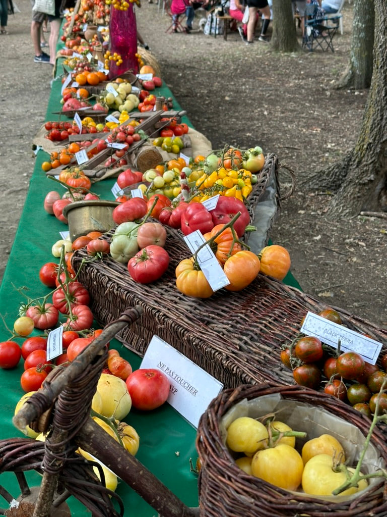 Festival de la Tomate de Clapiers près de Montpellier