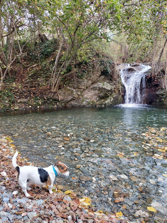 Un lieu dédié au safran, au bien-être et au ressourcement