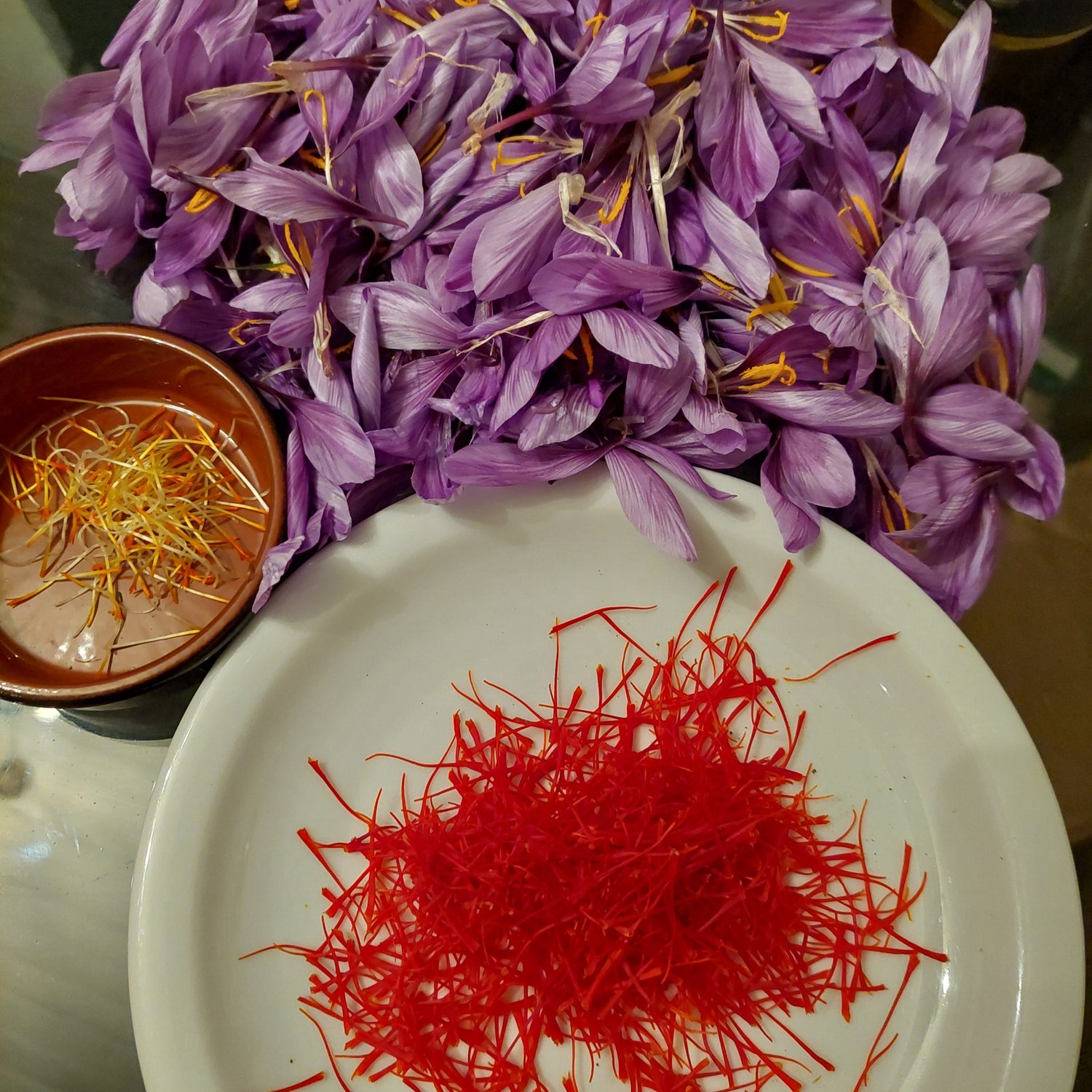 Epices rares: safran bio francais, poivret vert givré au sel, fleur de curcuma...