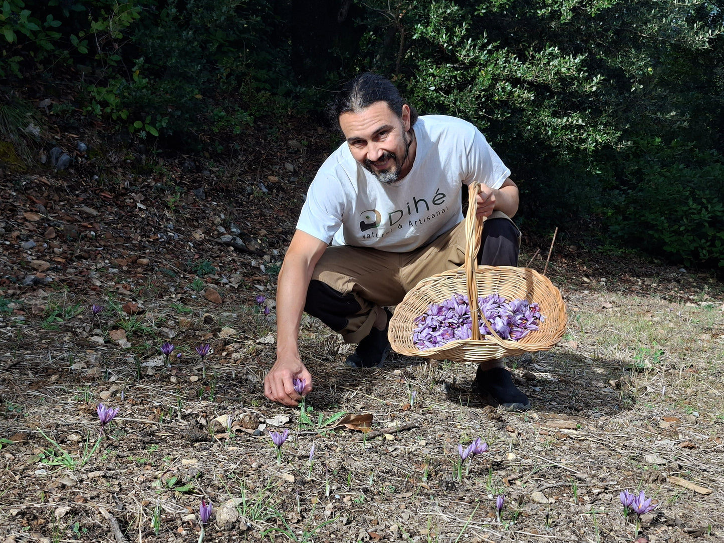 Raphaël, safranier à Anduze dans le Parc ntional des Cévennes