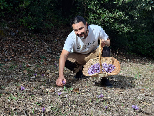 Raphaël, safranier à Anduze dans le Parc ntional des Cévennes