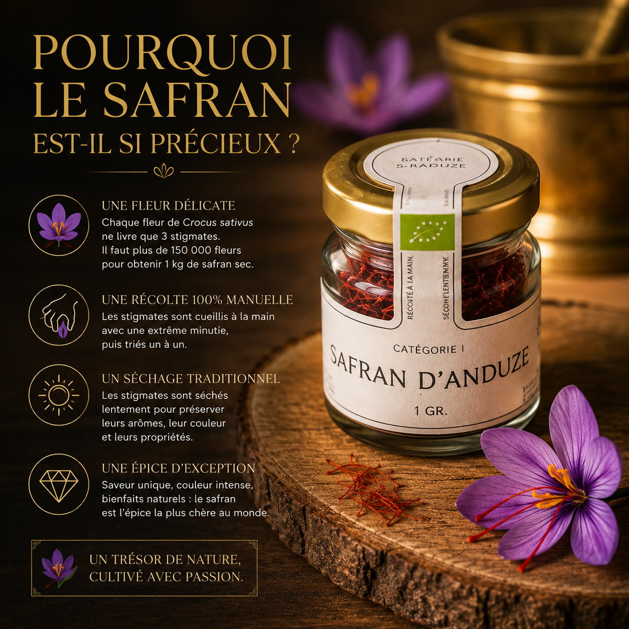 Safran bio artisanal & français