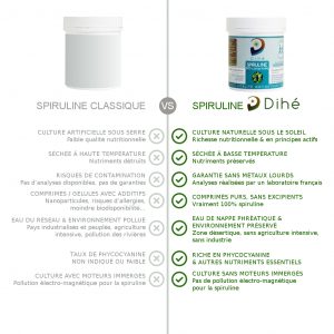 Paillettes de spiruline crue artisanale - Spiruline issue d'un programme solidaire - spiruline cultivée dans son environnement naturel - antioxydant - système immunitaire - grossesse - minceur - endurance - récupération